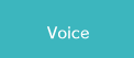 Voice